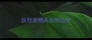 医牧宠物杀虫剂边牧