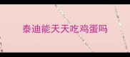 泰迪能天天吃鸡蛋吗