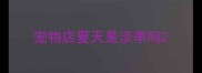 宠物店夏天是淡季吗