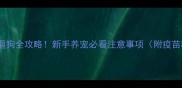 狗狗疫苗后遛狗全攻略新手养宠必看注意事项附疫苗种类对比