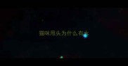 猫咪甩头为什么有水