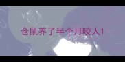 仓鼠养了半个月咬人
