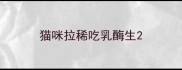 猫咪拉稀吃乳酶生