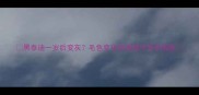 黑泰迪一岁后变灰毛色变化的真相与养护指南