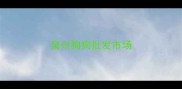 泉州狗狗批发市场