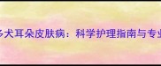 拉布拉多犬耳朵皮肤病科学护理指南与专业治疗全