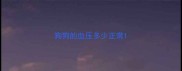 狗狗的血压多少正常