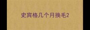 史宾格几个月换毛