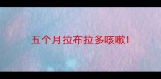 五个月拉布拉多咳嗽