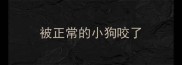 被正常的小狗咬了