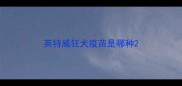 英特威狂犬疫苗是哪种
