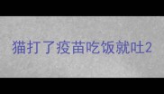 猫打了疫苗吃饭就吐