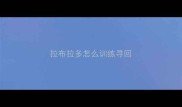 拉布拉多怎么训练寻回