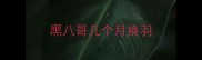 黑八哥几个月换羽