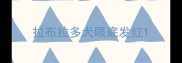 拉布拉多犬眼底发红