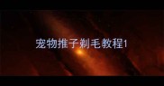 宠物推子剃毛教程