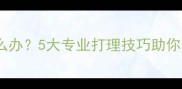 拉布拉多掉毛怎么办5大专业打理技巧助你轻松应对换毛季