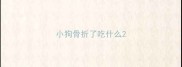 小狗骨折了吃什么