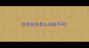 拉布拉多怎么训练不叫