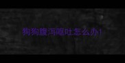 狗狗腹泻呕吐怎么办