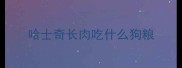 哈士奇长肉吃什么狗粮