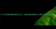 8个月大狗狗咳嗽喷嚏怎么办深度咳嗽喷嚏的5大原因及家庭护理指南