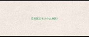 边牧尾巴毛少什么原因