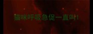 猫咪呼吸急促一直叫
