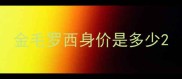 金毛罗西身价是多少