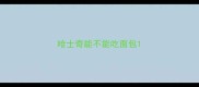 哈士奇能不能吃面包