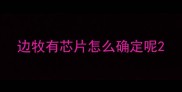 边牧有芯片怎么确定呢