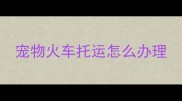 宠物火车托运怎么办理