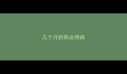 几个月的狗会得病