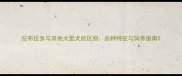 拉布拉多与其他大型犬的区别品种特征与饲养指南