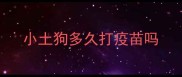 小土狗多久打疫苗吗