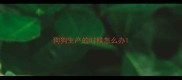 狗狗生产的时候怎么办