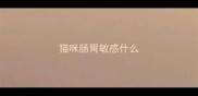 猫咪肠胃敏感什么