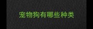 宠物狗有哪些种类