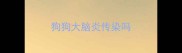 狗狗大脑炎传染吗