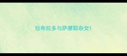 拉布拉多与萨摩耶杂交