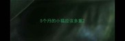 5个月的小猫应该多重