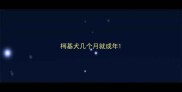 柯基犬几个月就成年