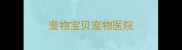 宠物宝贝宠物医院