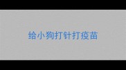 给小狗打针打疫苗