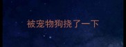 被宠物狗挠了一下