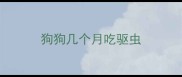 狗狗几个月吃驱虫