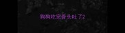 狗狗吃完骨头吐了