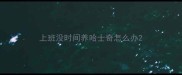 上班没时间养哈士奇怎么办