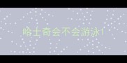 哈士奇会不会游泳