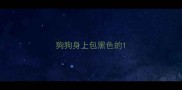 狗狗身上包黑色的